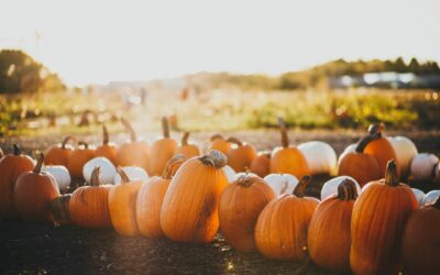 Fall Festival – October 18-19