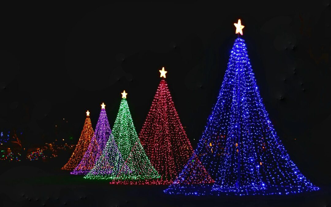 Christmas Lighting and Live Nativity – November 30