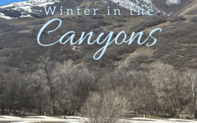 Tooele County’s Canyons Close for Winter — With New Snowmobile Access Opening in Middle Canyon